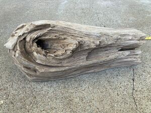 Ohio River Driftwood 13"x4.5"x5.5"